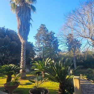 La Pineta